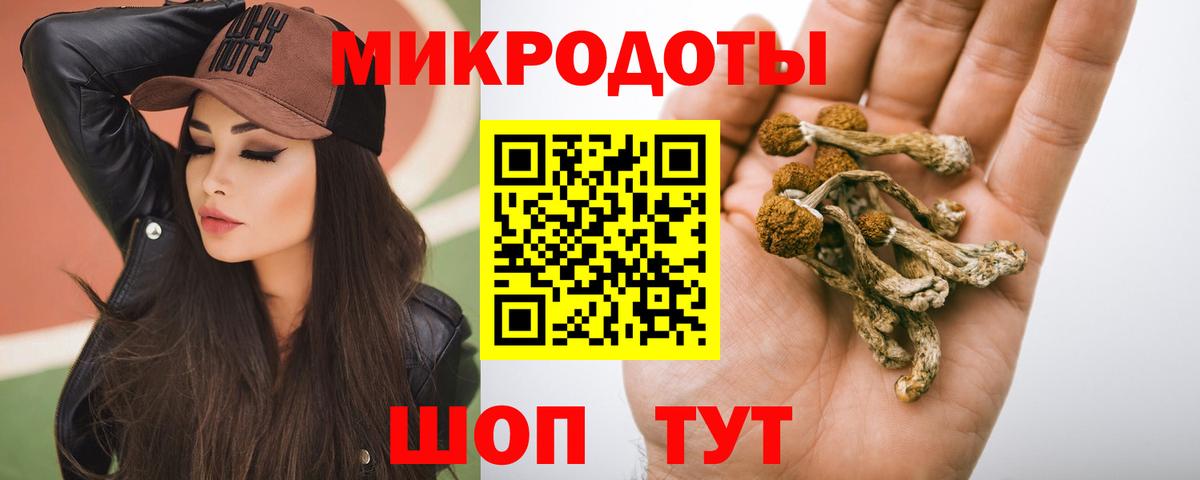 Камышин  Псилоцибиновые грибы Cubensis  Вход с VPN 