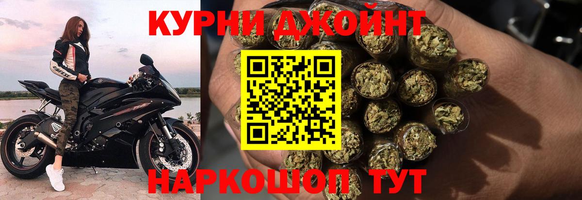 Конопля гибрид Камышин